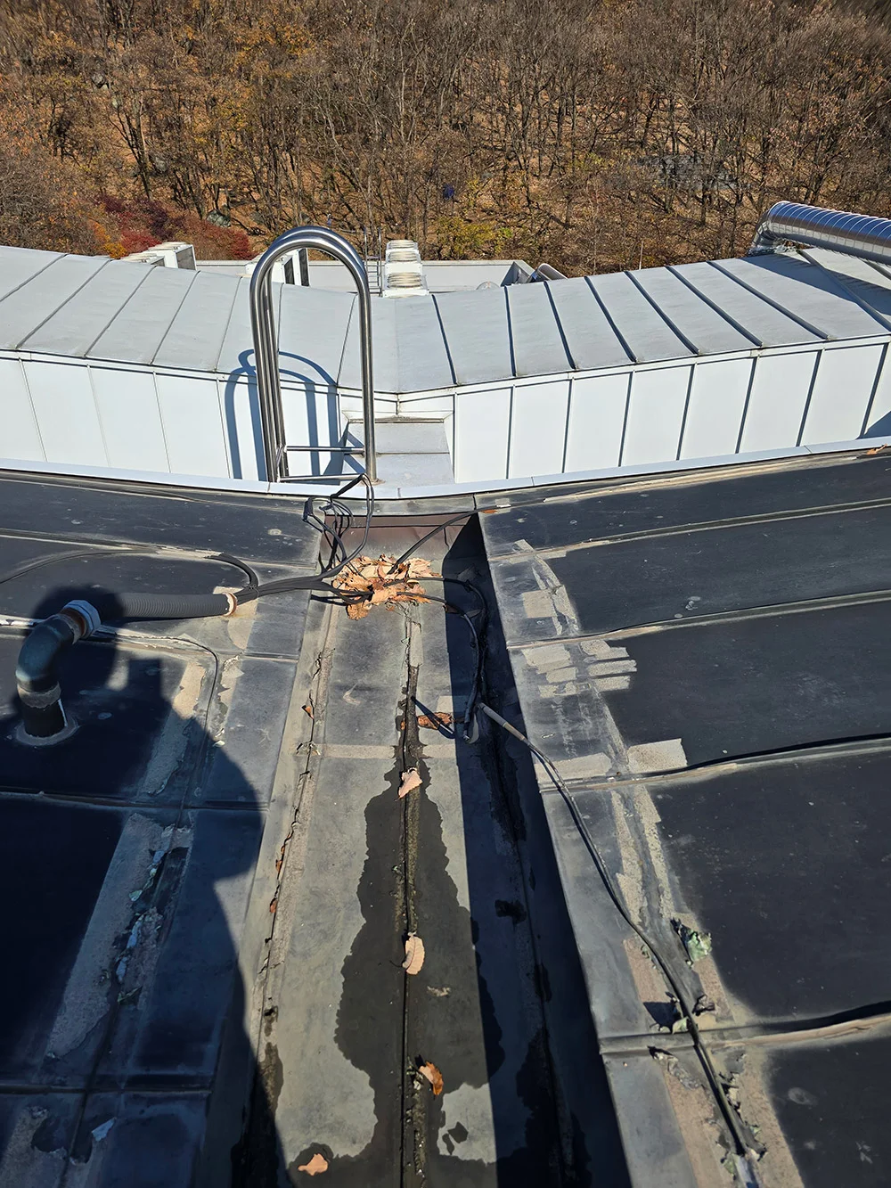 Safety Inspection